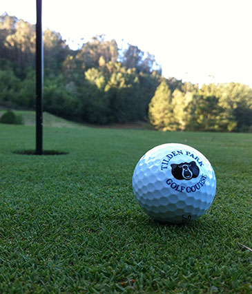 Golf Ball Near Flag