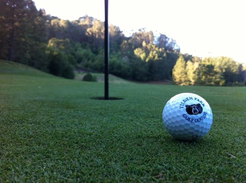 Tilden Park Seniors Golf Club